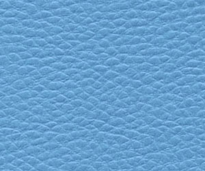 博格-XL（藍(lán)）