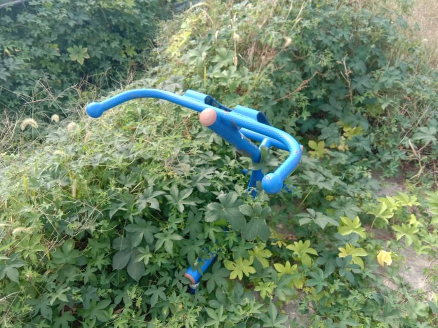 背肌訓(xùn)練器 背肌訓(xùn)練器