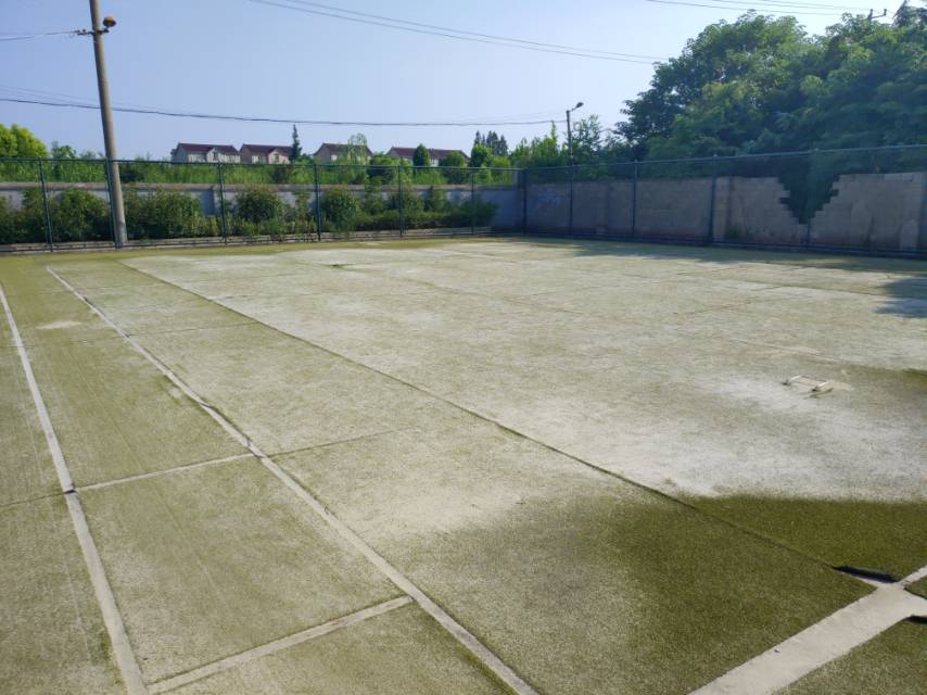 楊家巷村門球場