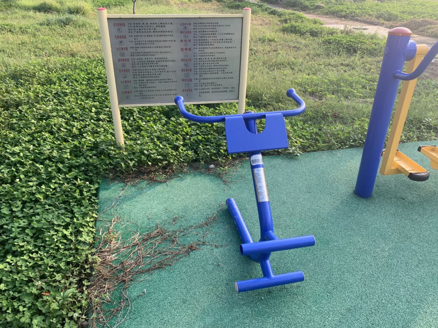 背肌/腹肌訓(xùn)練器 背肌/腹肌訓(xùn)練器