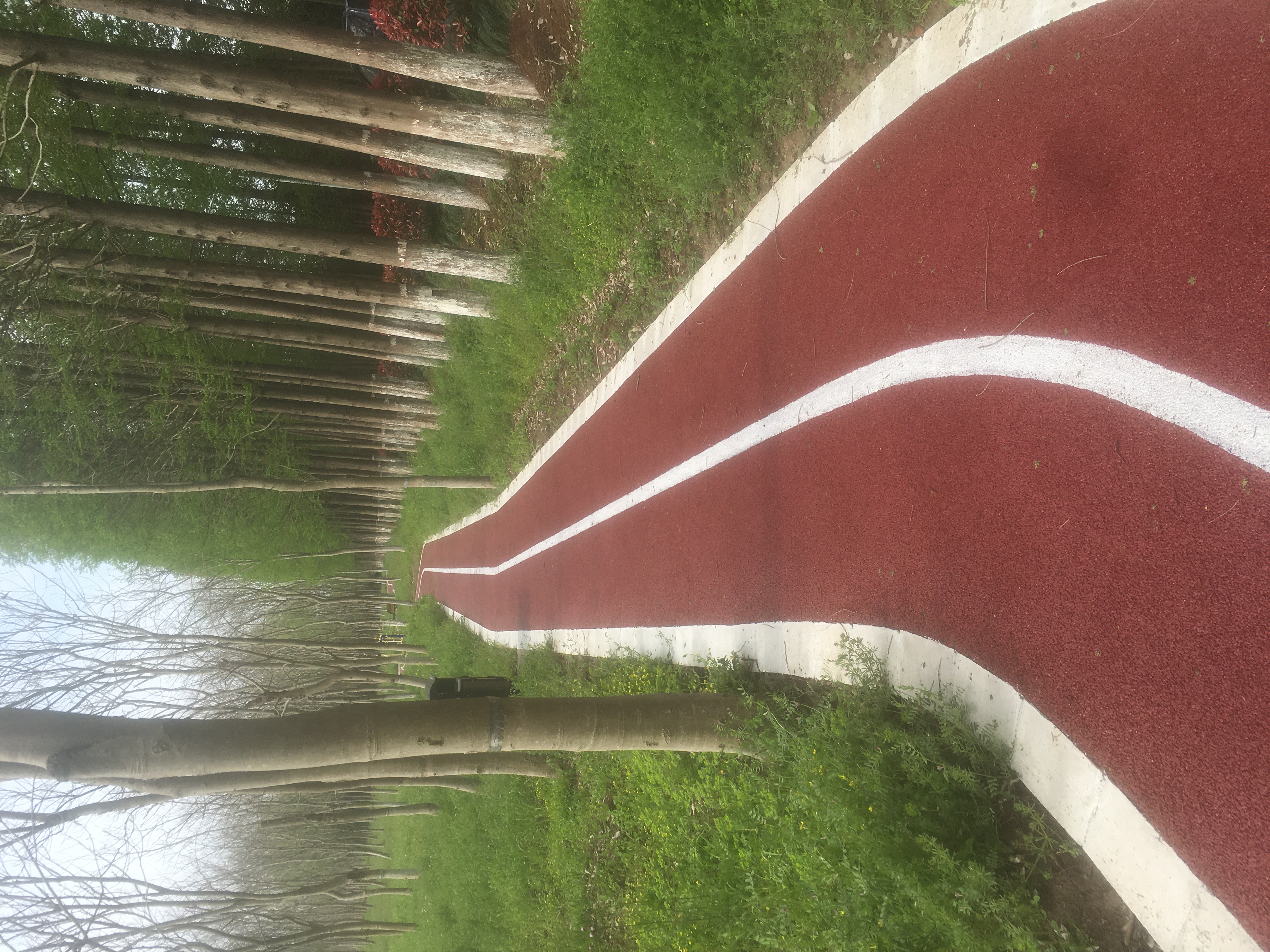 江鎮(zhèn)村濟民健身步道