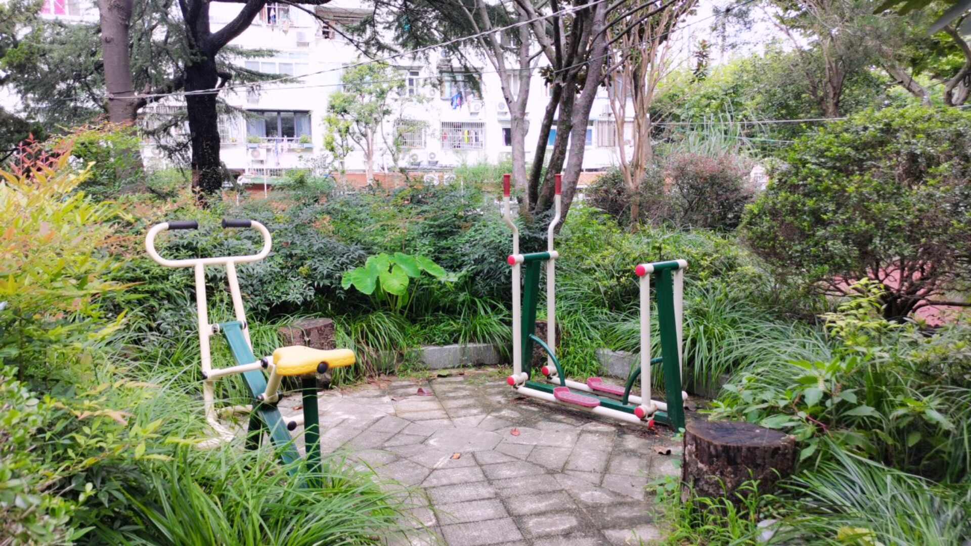 曹楊五村199號健身點