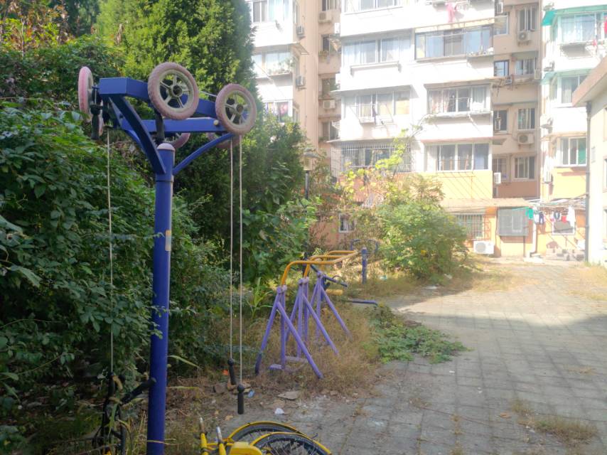 川新100支弄20號小花園