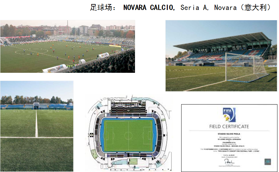 意甲Novara俱樂部的訓練場，F(xiàn)IFA2星