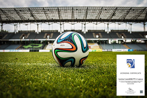 盧日尼基奧林匹克體育中心（國際案例）