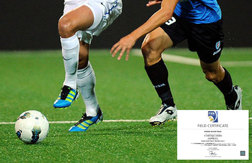 意甲官方皮奧拉足球場 （國際案例）