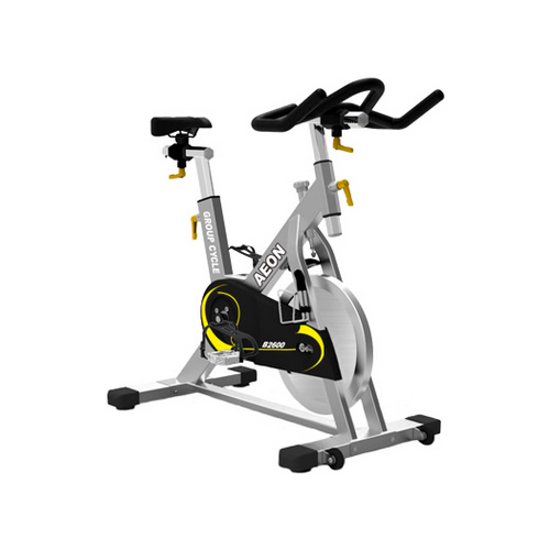 正倫B2600商用動(dòng)感單車圖3