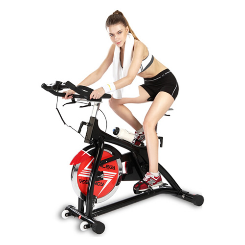 康樂佳K9.2GE家用動感單車圖2