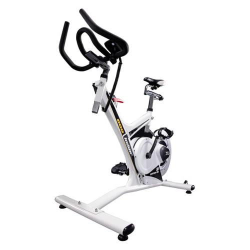 必艾奇H919家用動(dòng)感單車圖1