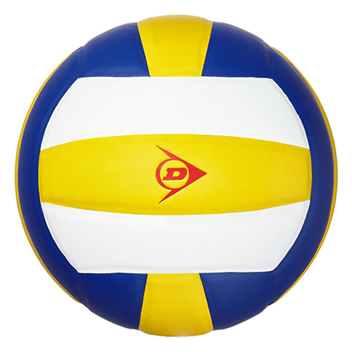 鄧祿普DLP-V02 5號(hào)五星排球圖2