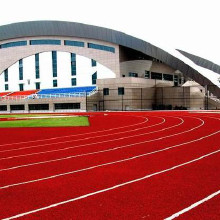 利達(dá)廠家供應(yīng)、混合型塑膠跑道施工、復(fù)合型塑膠跑道材料廠家