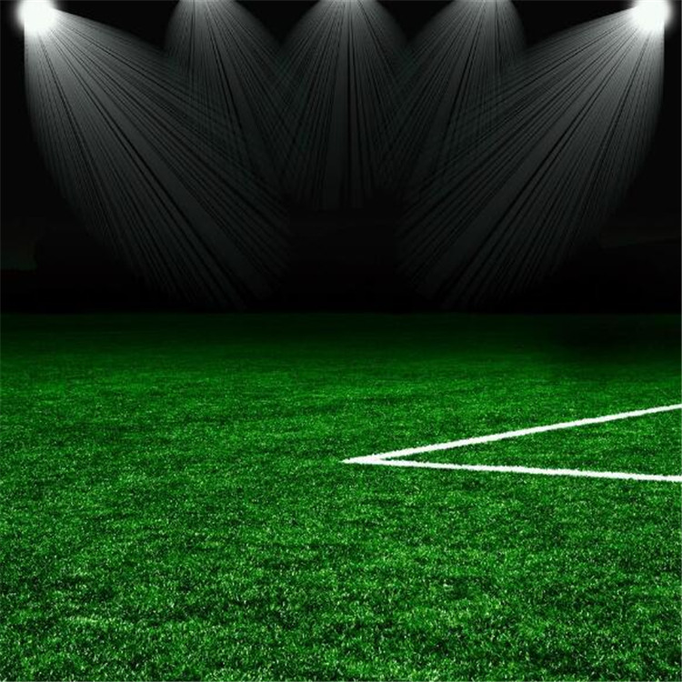 泰州足球場(chǎng)人造草坪,人造草坪操場(chǎng),戶外人造草坪