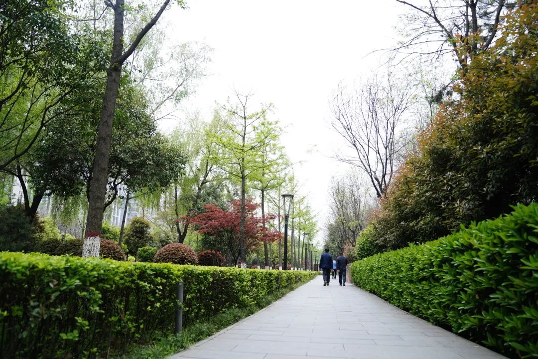 創(chuàng)文創(chuàng)衛(wèi)有你有我丨華商報：唐城墻遺址公園塑膠跑道開建 ！(圖3)