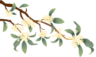 圓滿成功！2024年廣東省“百縣千鎮(zhèn)萬村”系列賽——千鎮(zhèn)乒乓球中山市級(jí)總決賽(圖30)